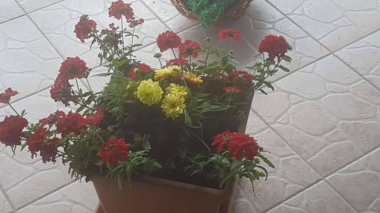 Apartmani Ksenija Krapinske Toplice Exteriör bild