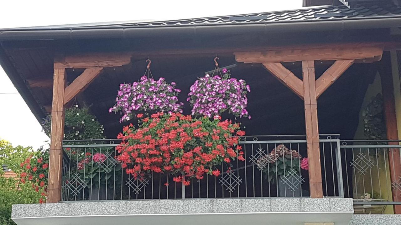Apartmani Ksenija Krapinske Toplice Exteriör bild